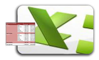 Statistiques et tableaux croiss dynamiques avec microsoft Excel 